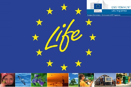 Life 2014