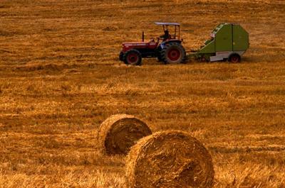 piano agricolo nazionale