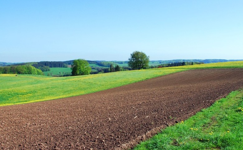 Finanziamenti per acquisto terreno agricolo