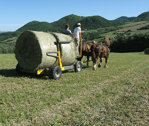 attività agricola